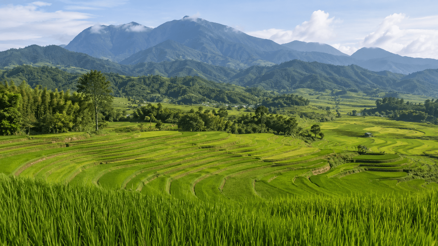 Rice terraces against northern Thailand's mountain landscape