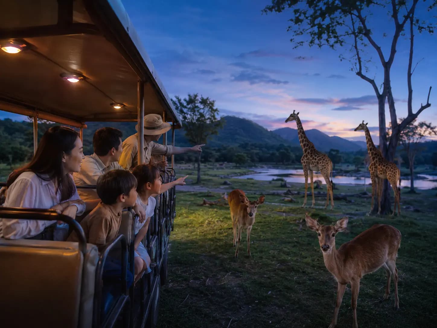 Conceptual editorial image of a family observing wildlife on a guided outdoor experience.
